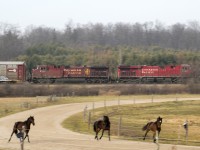CP 240 rumbling across the country side honking it's horn for the crossing up a head, 8869 horn spooked the horses and they make a run for it.