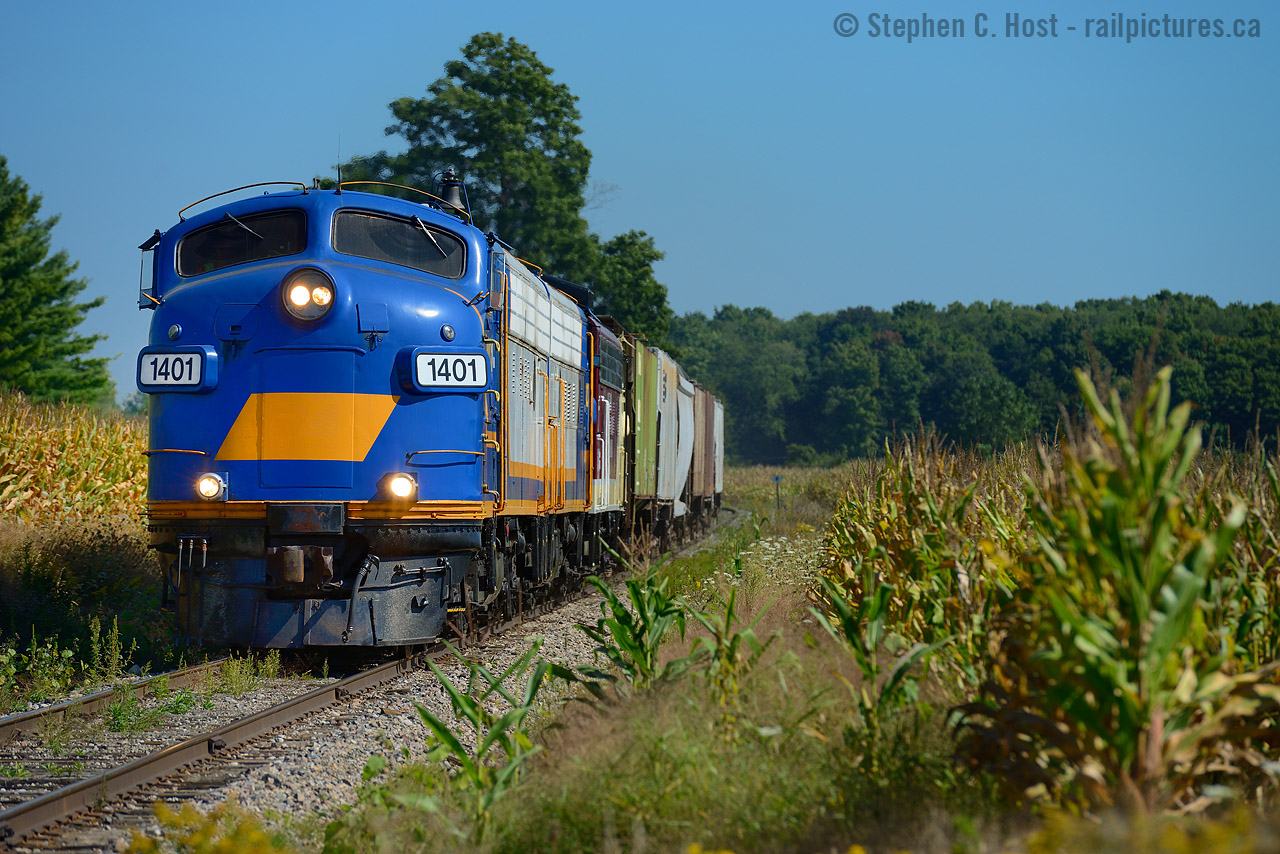 Hauling grain between fields tall with corn, A trio of Classic locomotives make speed for Putnam, Ontario, certain to make their delivery to the local farmers co-op before heading to Ingersoll and Woodstock to service heavy industry.