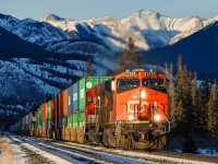 Toronto-Vancouver hotshot Q111 emerges from the shadows a mile east of Devona on CN's Edson Sub.