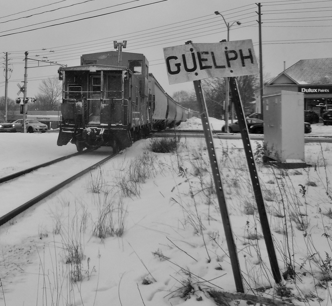 A mirage?  Nope it's real.  OSR rumbles south behind MLW's 181 and 505 past the old mileboard for Guelph near the intersection of Woolwhich St. (behind me) and Speedvale Ave. (crossing in photo).  Bringing up the rear of the train is ex CPR van 434462.  Sadly this caboose has fallen into some interior disrepair, but not as bad as the OSR's other caboose; 4900.  The train made a set off a PDI Elizabeth, where job 2 (train TG-14-2?) was switching.  It was powered by OSR 1210, 1591.  I was surprised to see the SW1200RSu leading.To see more photos click here: https://www.flickr.com/photos/132395721@N08/