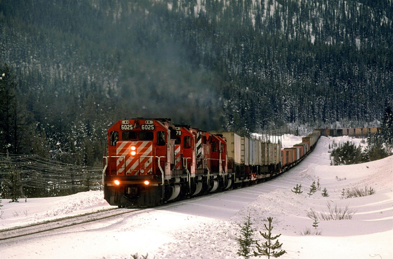 Eastbound intermodal, and lumber and probably anything else CP could stick on to the train.
What looks like a sag is in fact the last of the west slope of Kicking Horse Pass. The part of the train on the curve in the background is on level track.