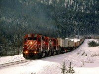 Eastbound intermodal, and lumber and probably anything else CP could stick on to the train.
What looks like a sag is in fact the last of the west slope of Kicking Horse Pass. The part of the train on the curve in the background is on level track.