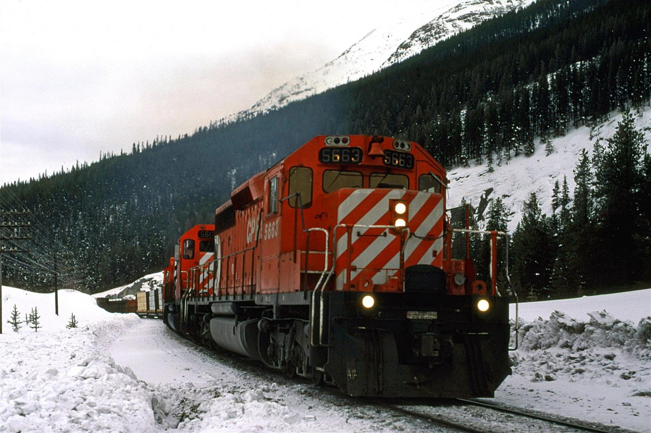 My wife and i would head into the mountains to do some cross country skiing. She started getting a little suspicious when we kept going back to the Kicking Horse pass area, though.
An eastbound manifest nears Stephen, and the Continental Divide - lots of snow, but the rails look clear and sanded.