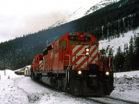 My wife and i would head into the mountains to do some cross country skiing. She started getting a little suspicious when we kept going back to the Kicking Horse pass area, though.
An eastbound manifest nears Stephen, and the Continental Divide - lots of snow, but the rails look clear and sanded.
