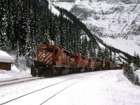 Westbound manifest at Yoho, creeping down the hill into Field. the MOW building at left has been removed. Mount Stephen dominates the background.