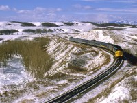 A wider view of the Bow River Valley east of Cochrane. This was truly a wonderful place to walk.
