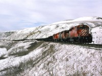 A day that was mostly clear and sunny became this overcast meas by 245Pm, when this picture was taken. At the time, I did not understand that photographing a scene with no sky usually is much more appealing in overcast conditions. 
An eastbound empty sulphur train runs through the twisted track of the Bow River Valley west of Calgary. 