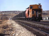The rear of a sulphur train, with its prerequisite buffer car between the caboose and sulphur cars. It straddles the slight rise at Brickburn in west Calgary on this late afternoon.