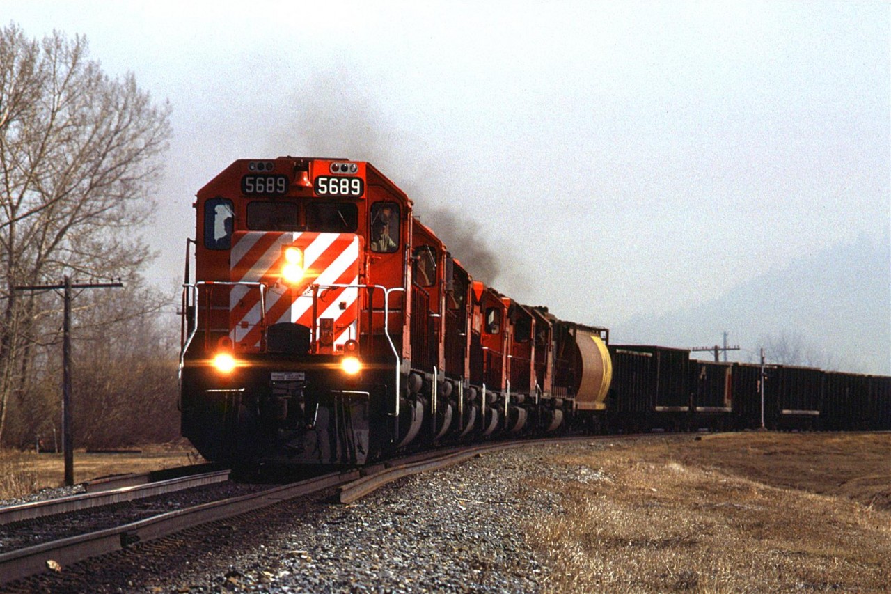 This is my last photo taken on March 27, 1986. That haze in the air is in fact smoke from a grass fire on the hill over my right shoulder. After the train passed, I escaped by crossing the tracks and then a footbridge over the Bow River. 
As for the train, it is a westbound manifest at Edworthy Park, in West Calgary. Although it looks like a sulphur train - buffer car and black gondolas, I think that the gon's may be for aggregate, and the grain car may not be placed as a buffer. Presumably, there are other types of cars and cargo on the train out of frame.