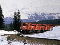 This westbound grain train scars up a flock of birds at the west end of Wapta Lake. immediately, after rounding this curve, it will descend the 2.2% grade down to and through the Spiral Tunnels.