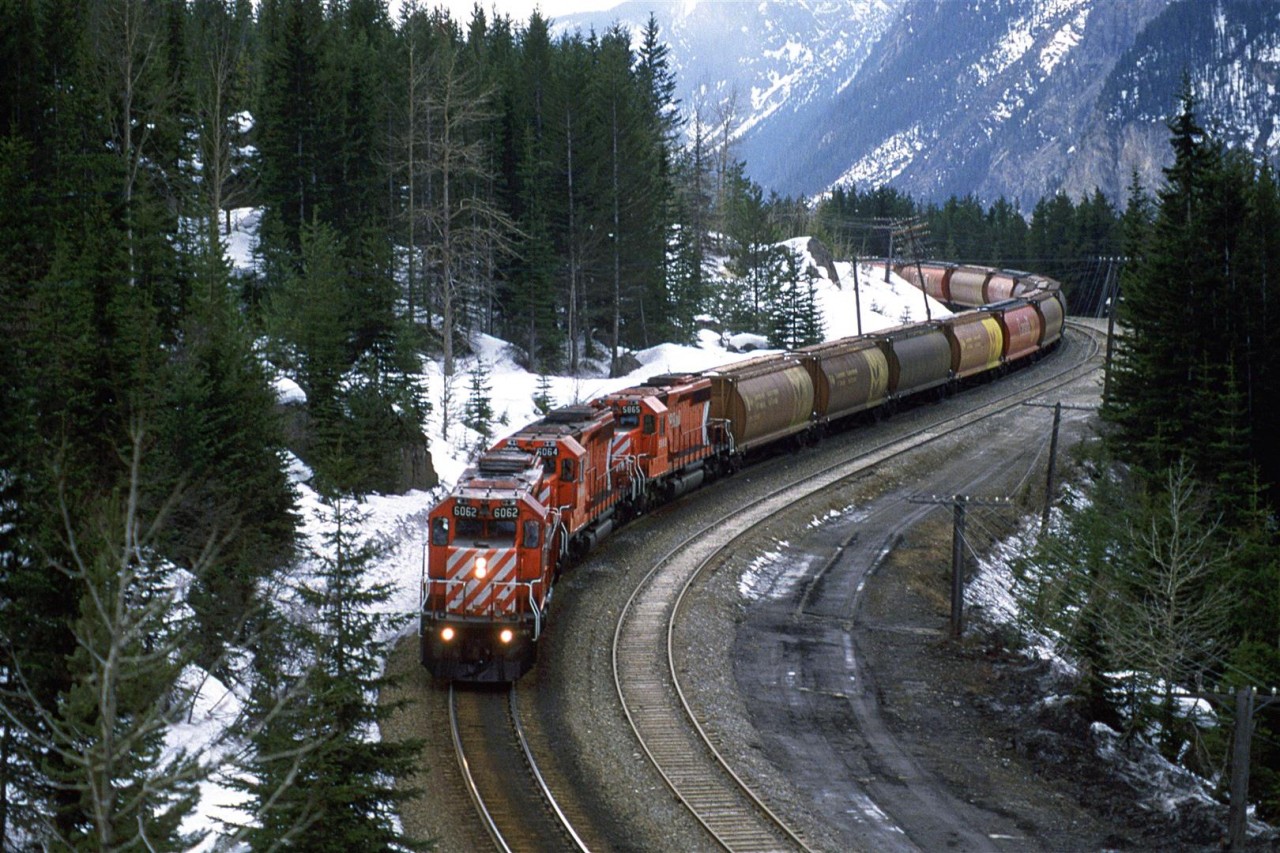 I know that this scene is well represented, but the mid-Spring snow may make it somewhat interesting.
The grain train is in full dynamic breaking as it passes through Yoho between the Spiral Tunnels.