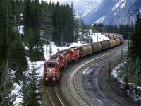 I know that this scene is well represented, but the mid-Spring snow may make it somewhat interesting.
The grain train is in full dynamic breaking as it passes through Yoho between the Spiral Tunnels.
