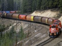 Another cliched location in Yoho National Park. 
