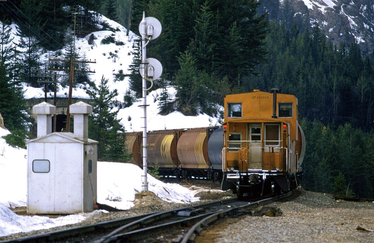 The tail end of an eastbound empty grain train is about to duck into the Upper Spiral Tunnel, just west (RR east) of the east switch of Yoho. As usual, there is still quite a bit of snow around in mid April.
