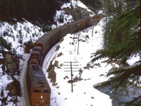 A SPENO rail-grinder train is about to enter Field yard.
