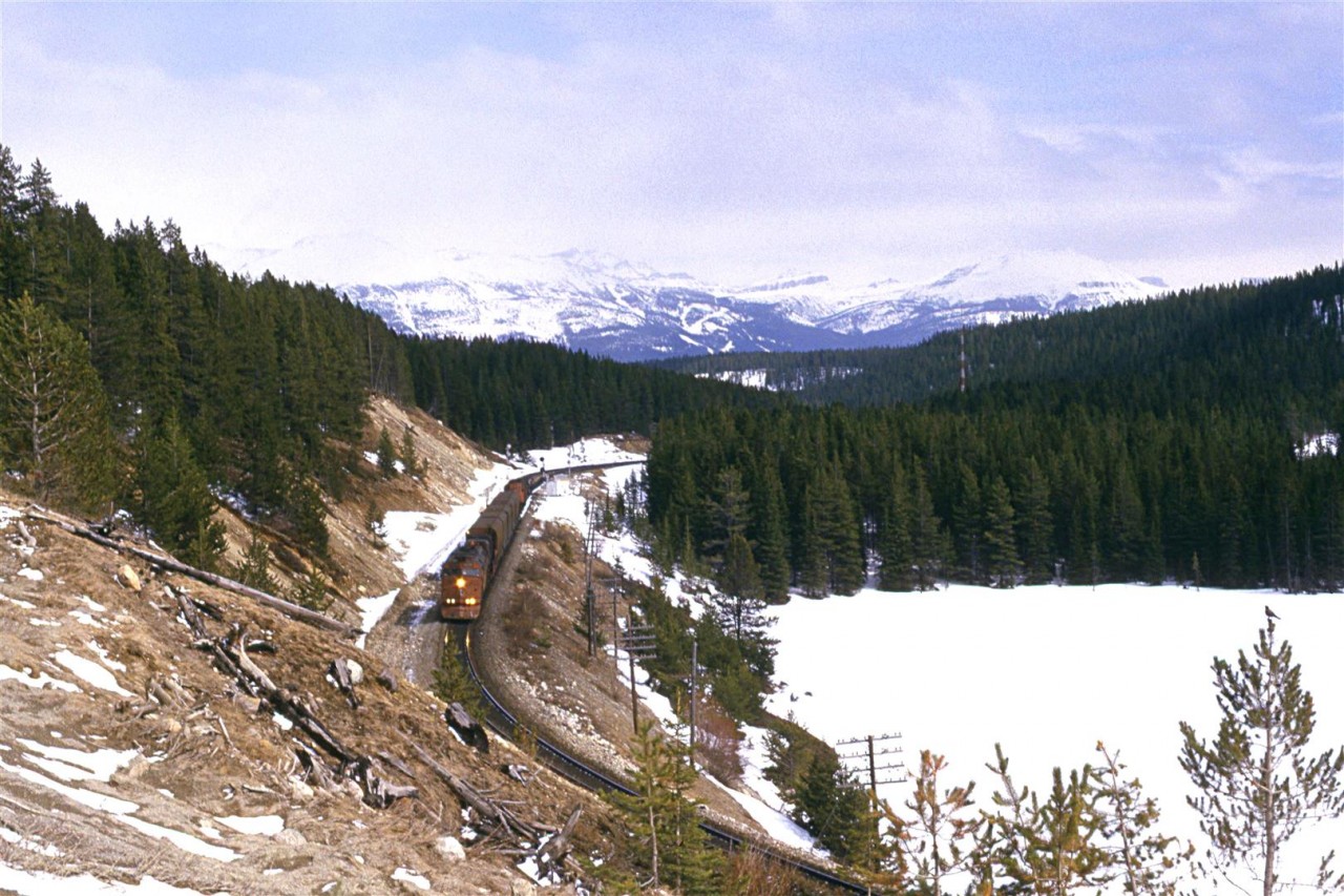 At the west end of Stephen Siding, technically in the province of British Columbia. My notes are not clear, but I think that the train is proceeding east, because I have a photo of a westbound grain train taken shortly afterward. Also, the rail grinder was previously eastbound out of Field. It probably went into Stephen siding to clear the westbound grain - but I am not certain. I have a slight recollection of this being a strange movement.