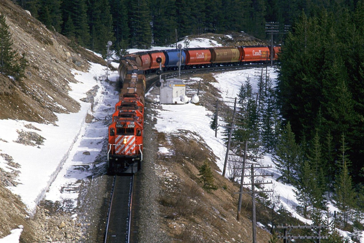 A westbound grain train straddles the continental divide and two provinces as it leaves Stephen siding.