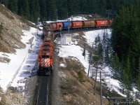A westbound grain train straddles the continental divide and two provinces as it leaves Stephen siding.