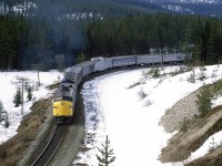The "Canadian" approaches Stephen and the continental divide.