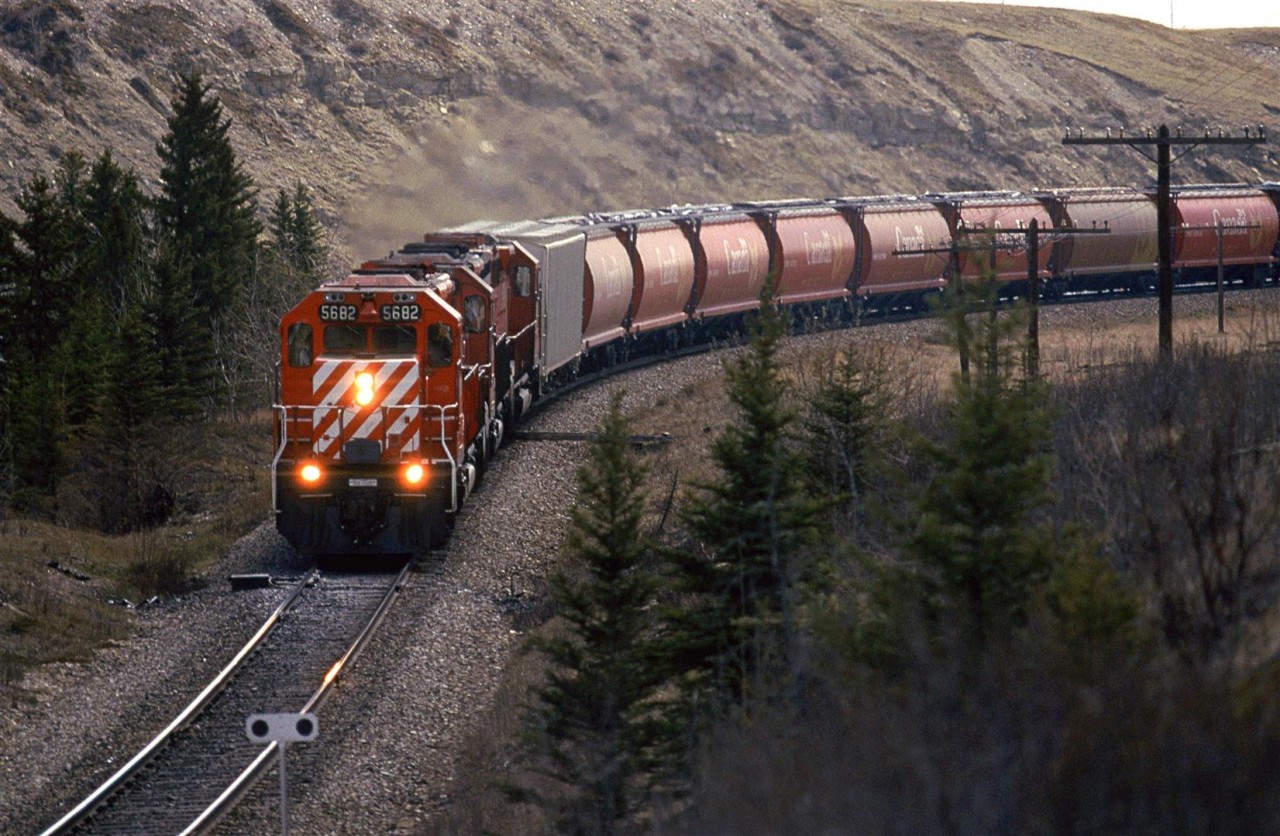 A westbound Grain train has just crossed to the south dide of the Bow River and is approaching the Copithorn Spur and Mitford siding.
It may be early May, but the trees still look to be in winter mode with respect to leaves.