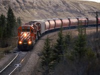 A westbound Grain train has just crossed to the south dide of the Bow River and is approaching the Copithorn Spur and Mitford siding.
It may be early May, but the trees still look to be in winter mode with respect to leaves.