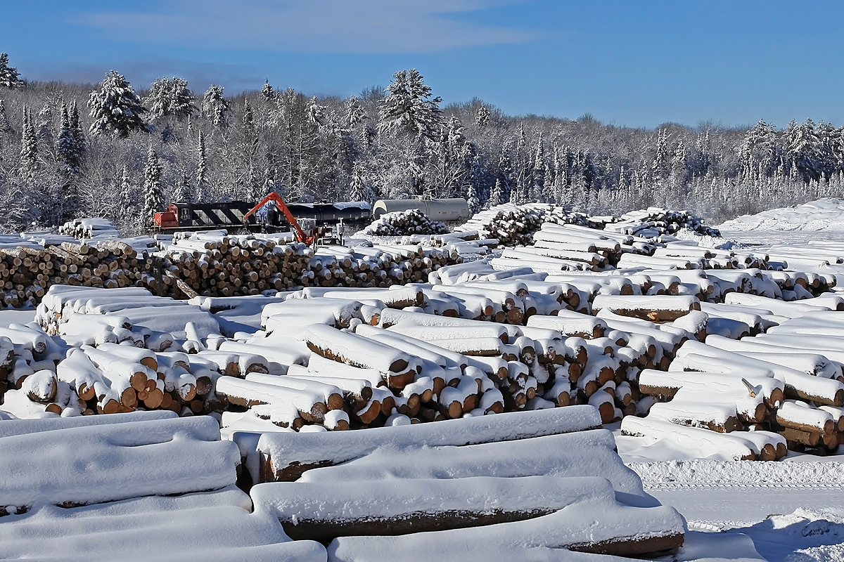 Railpictures.ca Wayne Shaw Photo CN 595 trundles past the timber