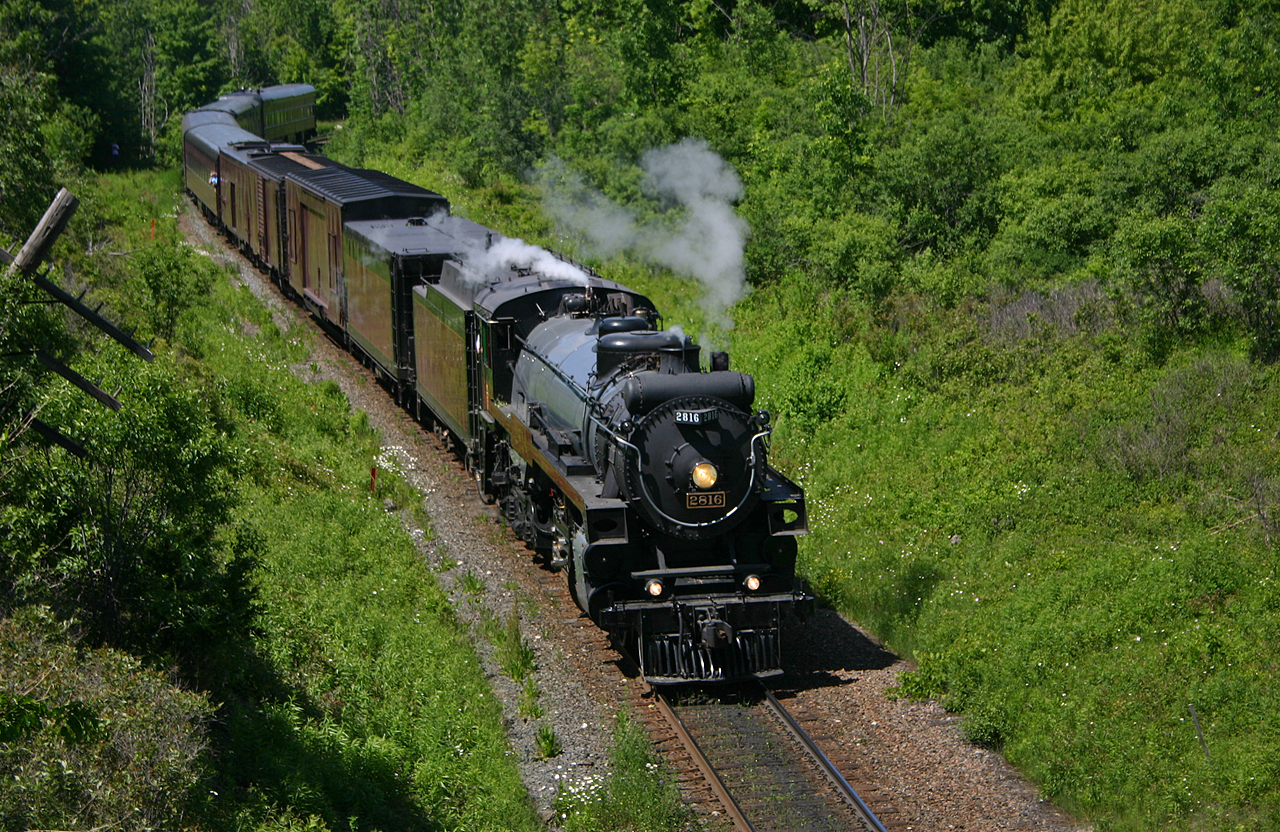 CP 2816 snakes through the S curve approaching the Highway 6 overpass with an excursion train in tow.