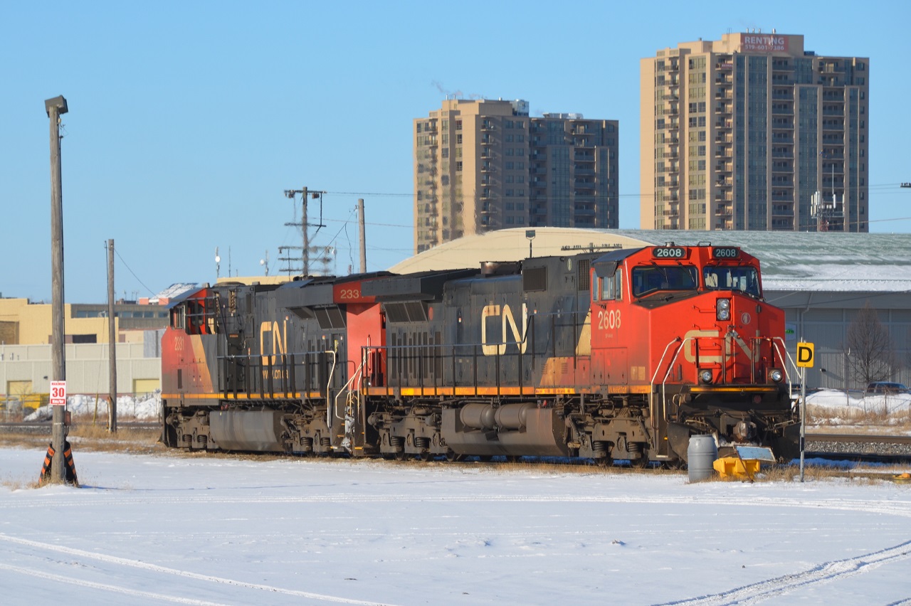 On a freezing cold and sunny morning, I got my first shot with signs of winter showing.
