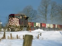 Late afternoon with a CEFX leader; who says walking the dog isn't good for you.