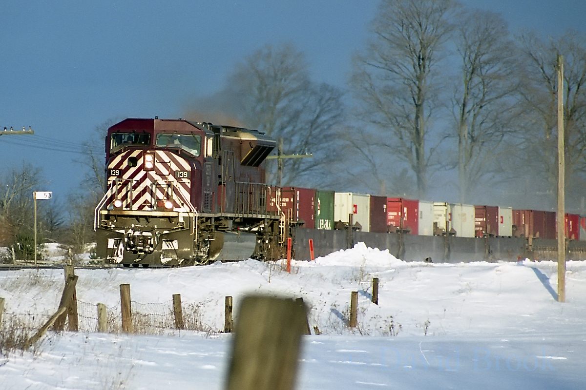 Late afternoon with a CEFX leader; who says walking the dog isn't good for you.