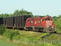 As Stephen Host mentioned, predictability was one of the great things about the Sprint Train; for photographers too.......