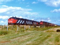 For the life of me I cannot recall just where I shot this image. My notes say "Sackville", but I do not recall a siding there. At least not out in the countryside. Would appreciate input. This scene shows the Ocean Limited with CN 6780, 6871 and 6761 passing westbound CN freight in the hole with CN 2012, 2337 and 2320. This was one lucky catch, considering how few trains I did manage in this part of the country.