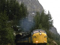 On our way to Steam Expo at EXPO 86, in Vancouver, we encountered the eastbound "Canadian" exiting the short tunnel just west of Cathedral siding.