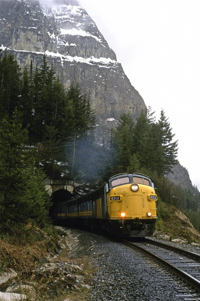 On our way to Steam Expo at EXPO 86, in Vancouver, we encountered the eastbound "Canadian" exiting the short tunnel just west of Cathedral siding.