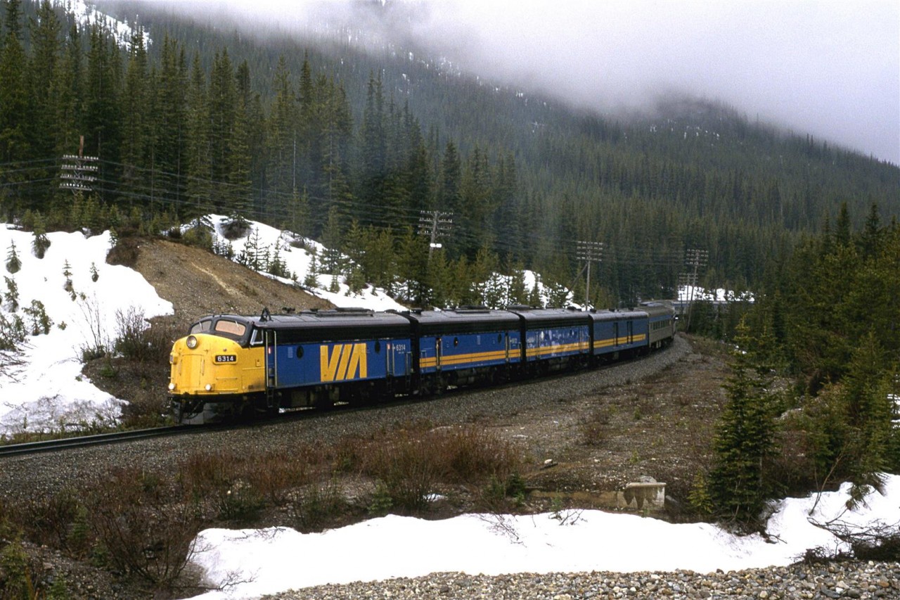 Nearing Wapta Lake, this eastbound "Canadian" will get a short break from the Kicking Horse Grade before the short push to the summit at Stephen. The concrete structure in the foreground may have been part of the old "Big Hill" grade originally used by the railroad and subsequently the Trans Canada Highway.
