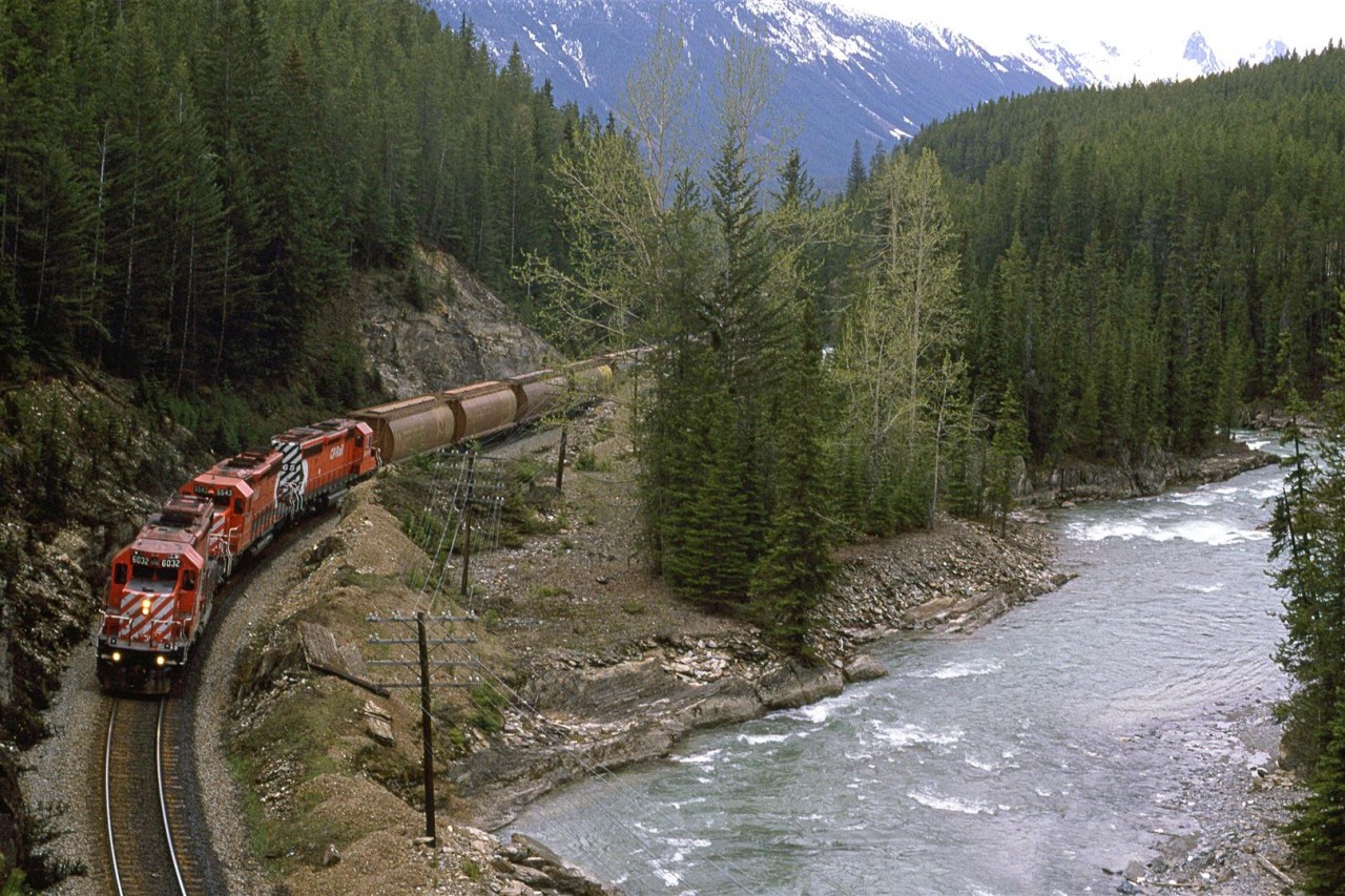 An empty grain train pulls into Field . The Kicking Horse River is swollen somewhat by the Spring thaw.