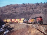 I concentrated around Dundas' Mile 2 in the spring of 2007 on account the CN had just done some major work in shoring up the trackbed here; and I wanted to get my fill of what I thought was a great curve while it was still possible. Nice and open. A few short years and Ma Nature filled this in to the point that now, in the summer, it looks like a jungle. Maybe it is just my preference; virtually no one else bothered to shoot here. This was a nice collection of power. Too bad CN grabbed a page out of the CP Handbook and put a grubby leader on it. CN 2411 leading UP 9439. BNSF 548, WC 6910 and 6925 with train #384, Flat Rock MI to Mac Yard.
