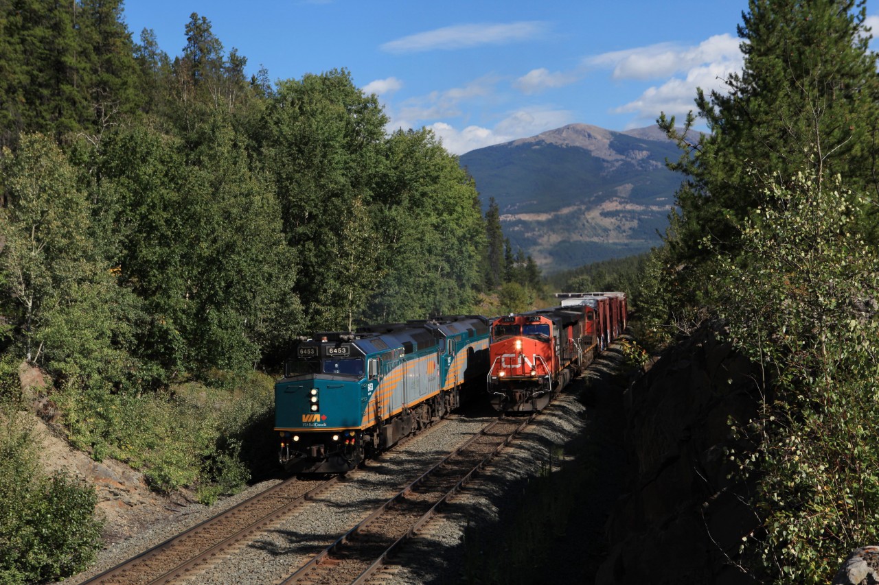 Not for the fainthearted. While we were waiting for the westbound Canadian just outside of Jasper a westbound freight was on its way, too. Luckily the Canadian could also be heard whistling its way west. At any rate, the head light of the freight could be seen first coming around the bent. Hearts were dropping. But all went well, except we did not get a shot of the Park car as anticipated. Also, it was a little struggle with the shadows of nearby trees.
