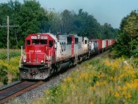 Westbound SOO 6004, 6041 in the later afternoon sunshine and fall wildflowers made for a colourful scene at Mile 43.2; GALT sub, a popular spot for trainwatching for some of the locals. (You'll notice from other photos on this site that BPurdy's boots have taken root here) The SD60s mostly soldier on, but now in CP colours.:o(  The leader on this train, however, was dealt off to the Indiana Railroad in April of 2006.