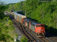 <b>Early bird gets the worm</b> and a few tips for you young kiddies that enjoy sleeping in - the time is 0715 and we've had a full HOUR of beautiful sunlight already - June is the best time to go to the Laking Garden RBG bridge and you MUST get there at the crack of dawn (0615 on the longest days of the year)- the sun wasted no time now that the trees were wiped away in the GO expansion in 2009. <br><br>You never know what you'll get and I was equally rewarded with this leader. Not to mention most eastbounds on CN run through from 0600 to 0900, by the time some 'fans arrive they've missed everything BUT 331 :). After 0900 the light is generally done and you have to go a bit east at the Berm or Waterdown Rd for better lighting until you have to turn your sights to westbounds in the afternoon.





