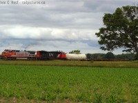 Not 20 minutes after shooting <a href=http://www.railpictures.ca/?attachment_id=23211 target=_blank> NS 327 on the Talbot sub in London</a>, NI chirped again on the radio to give 582 a clearance: <i>"Clearance one ohh three to the BNSF 932 South, proceed from Walton  to Mile 12.7. Item 7, protect against NS 8349 South between Walton Jct and St. Thomas"</i>. What would make one stop chasing a pair of Conrail blue engines down a 15 MPH "Branchline"? <b>This!</b> - was more interesting to me - CR blue was quite plentiful and a regular occurrence. ATSF Warbonnett leading on a Branchline? I'll take it. Pure dumb luck of the draw, and after this shot I had my fill of trains and went home. Oh to do this again... <br><br>Photo notes: Nikon D70, 50mm f/1.8, time was 1340. - and I'm trying to fill a few holes in <a href="http://www.railpictures.ca/author/headtailgrep">In my Profile Page Map</a> with these two shots :)