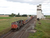 The beautiful "prairie icons" are getting fewer and fewer, but as proven in this image, some nice ones still exist.CN 119 passes the elevator at Harte MB. 