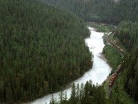 We biked through this area, which allowed easy exploration possibilities - it is rather difficult to stop and start on this busy stretch of road if one is in a car.
This is one of the vantage points that we caught a train at.
A westbound Manifest is a couple km's from Glenogle siding in the heart of Kicking Horse Canyon.
The log harvesting on the hill is an indication that we are no longer in Yoho National Park.