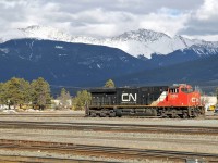 ES44DC, CN 2306 sits in the sun at the west end of Jasper yard wiating for an assignment.