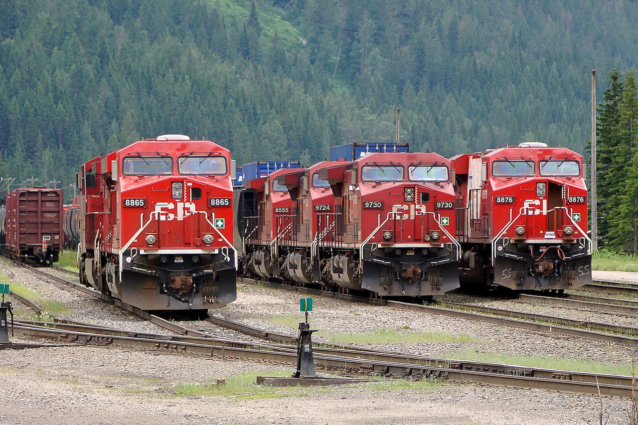 Reminiscent of earlier times at Field when waiting trains and lots of power were to be scene.  This is a more recent shot of modern power, making up the front row are ES44AC CP 8865, AC4400CW CP 9730 and ES44AC CP 8876.