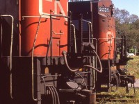 This is not the glamorous end of the locomotives but it is a nice comparison between a M636, in the foreground and a C630.