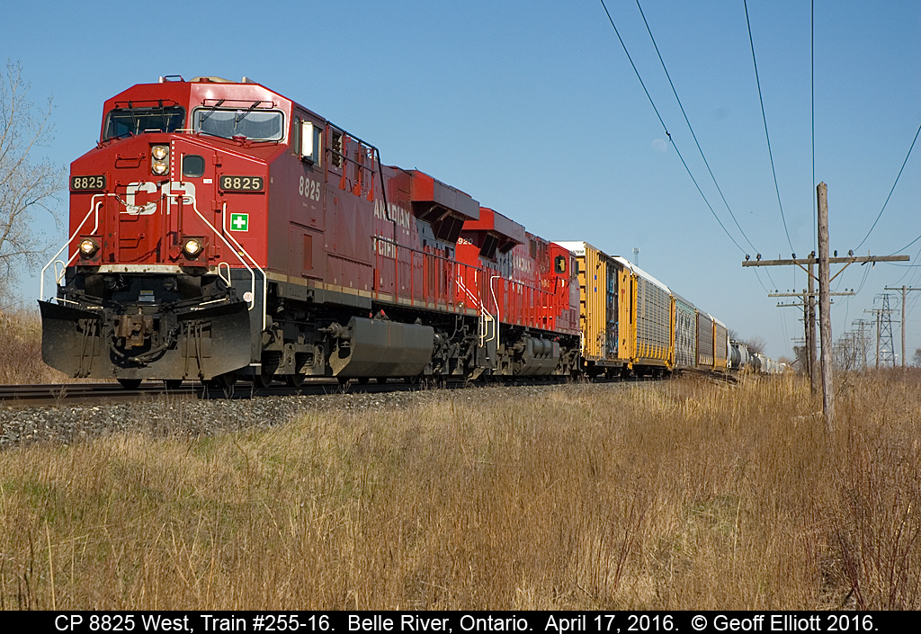 Another westbound from the back yard.  Cleared a few more reeds to give me a little more room to shoot.  Nothing special, just another pair of CP GE's, but you just have to shoot on a beautiful day regardless of what the power is.....