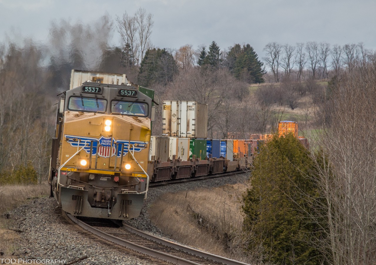 A late morning 142 slithers through the curves of Newtonville with a pair of UP Yellowbirds providing the power.

UP 5537 & UP 5432