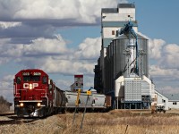 The train doesn't stop here anymore. This photograph of a train I would of seen a hundred times is now a memory and a thing of the past and would be the very last time I photographed CP in Redvers. The rails still hold but the viterra in the foreground is gone. 