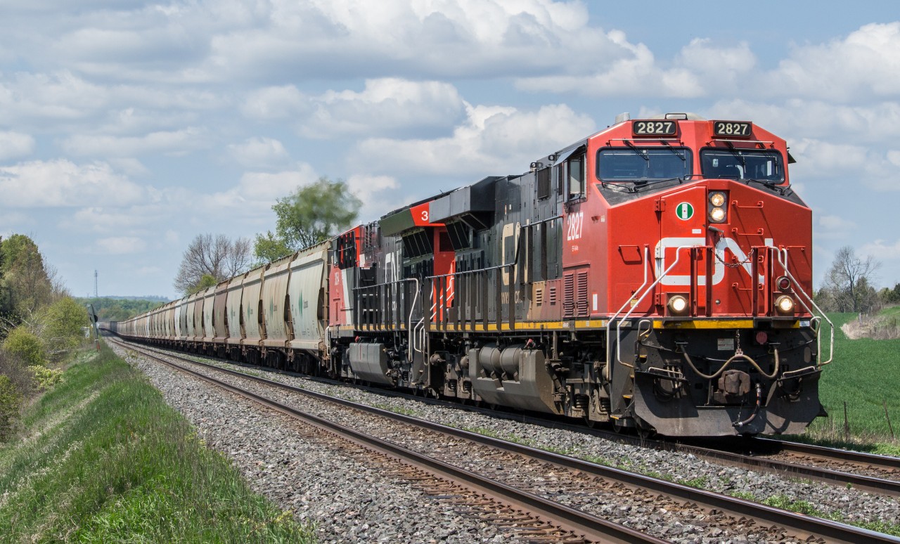 A trio of GEVOs work together and do what they do best, as they haul a loaded potash train up the grade towards Port Hope.

CN 2827, CN 3054, pusher DPU CN 2848